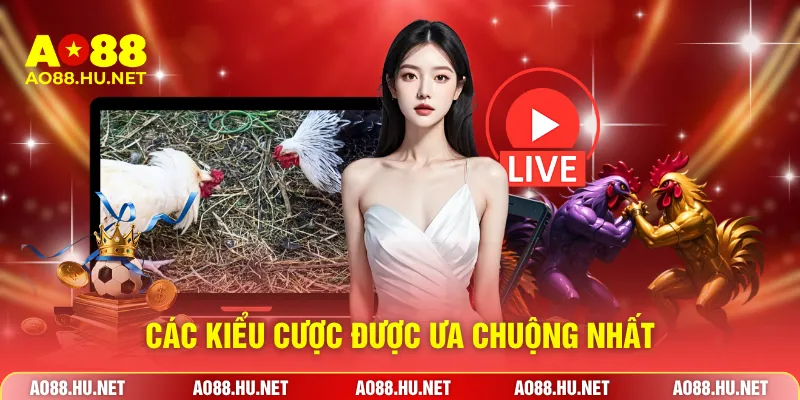 Các kiểu cược được ưa chuộng nhất