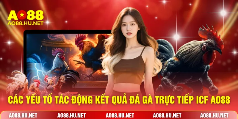 Các yếu tố tác động kết quả đá gà trực tiếp ICF AO88