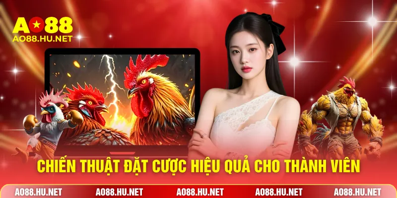 Chiến thuật đặt cược hiệu quả cho thành viên