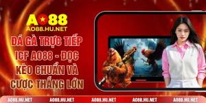 Đá Gà Trực Tiếp ICF AO88 - Đọc Kèo Chuẩn Và Cược Thắng Lớn