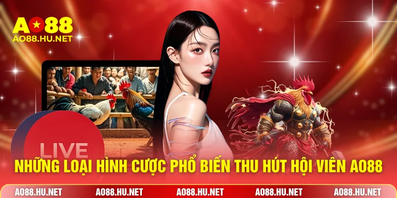 Những loại hình cược phổ biến thu hút hội viên AO88
